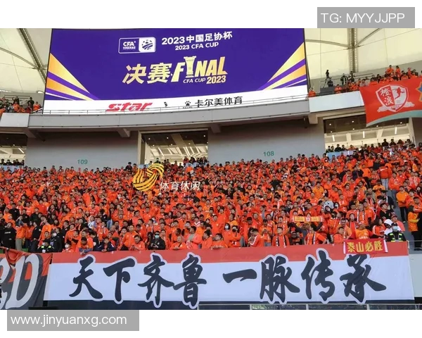 中国足协杯决赛球迷热情高涨为球队加油助威展现足球魅力与团结精神
