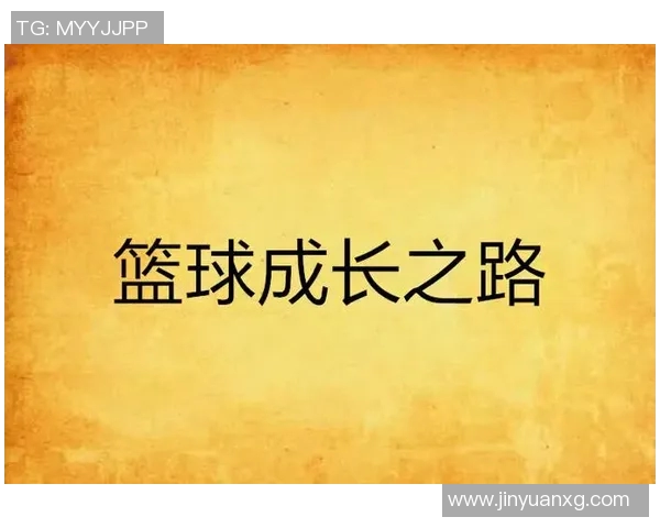 番禺篮球明星的成长之路与辉煌成就探秘